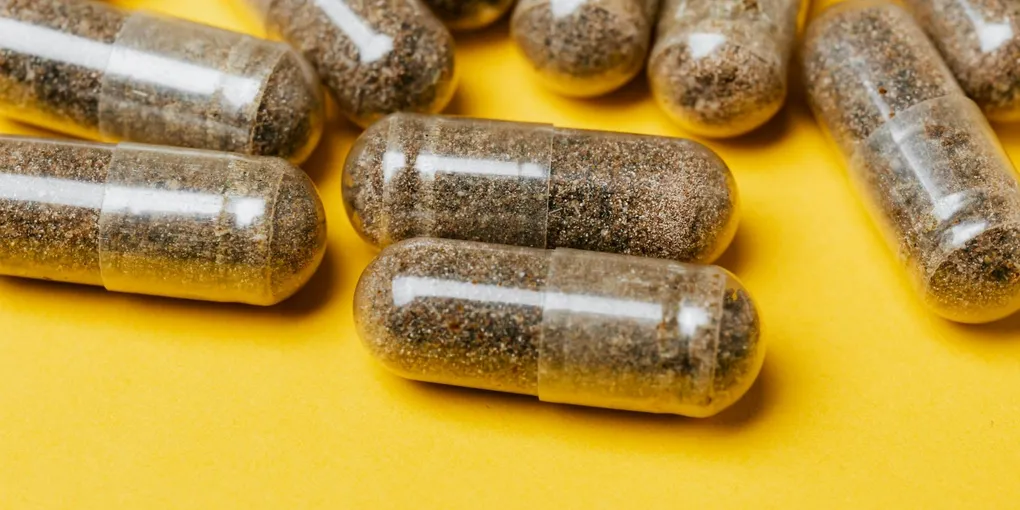 Best Andrographis Supplement 2026: Top Picks Ranked