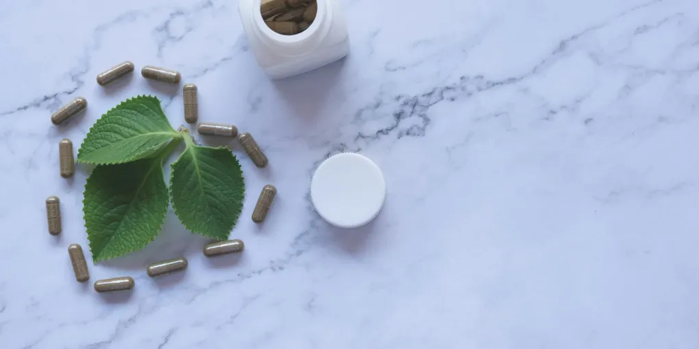 Best Bacopa Monnieri Supplement 2026: Top Picks Ranked