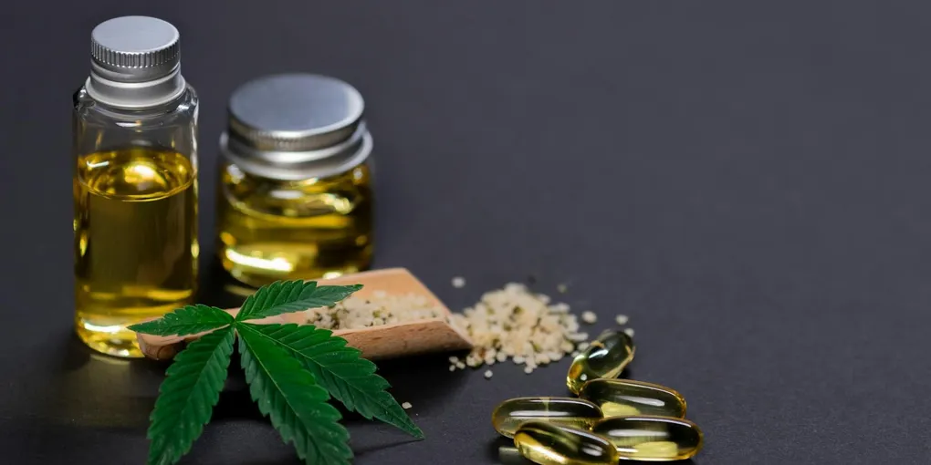 Best Black Seed Oil Supplement 2026: Top Picks
