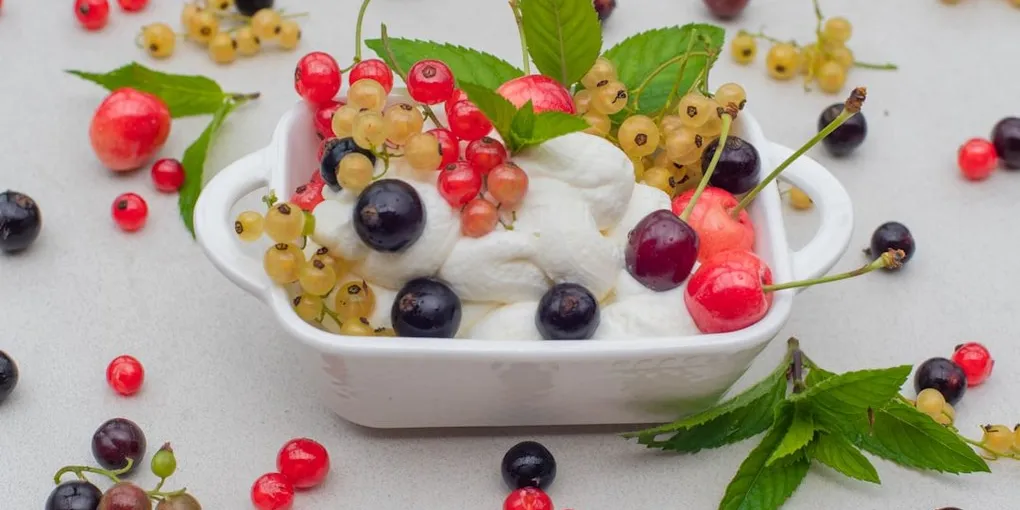 Best Gut Health Supplements for IBS: Top Picks Ranked