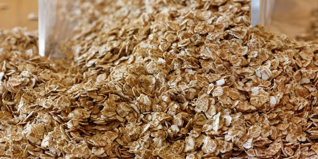 Best Magnesium Supplement for Anxiety and Sleep 2026: Ranked