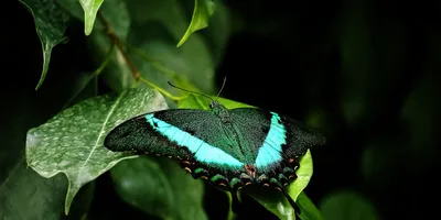 Best Plant Sterols Supplement 2026: Top Picks Ranked