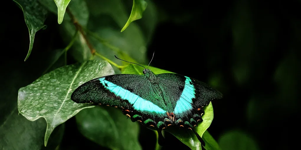 Best Plant Sterols Supplement 2026: Top Picks Ranked