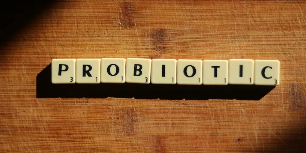 Best Probiotic Supplements 2026: Top Picks Ranked