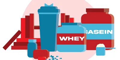 Best Protein Powder for Men 2026: Top Picks for Muscle