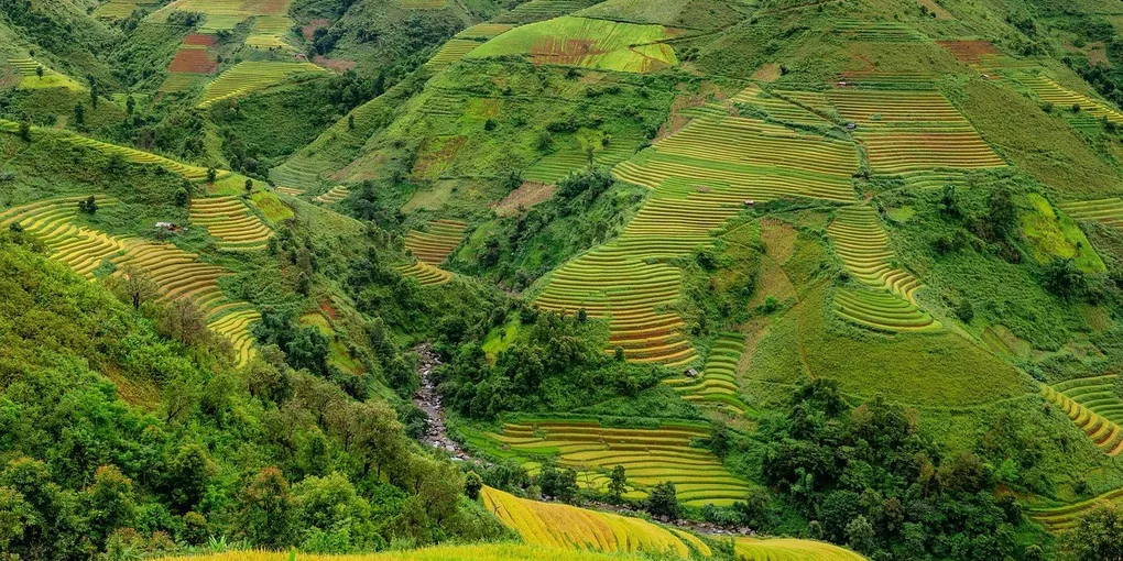 Best Red Yeast Rice Supplement 2026: Top Picks Ranked