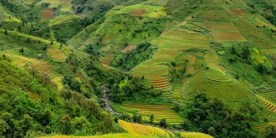 Best Red Yeast Rice Supplement 2026: Top Picks Ranked