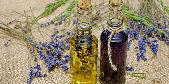 Best Vinpocetine Supplement 2026: Top Picks Ranked