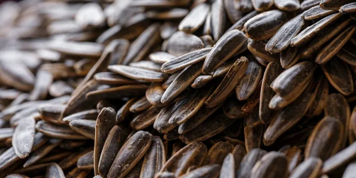 Best Vitamin E Supplement: Top Picks Ranked