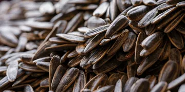 Best Vitamin E Supplement: Top Picks Ranked