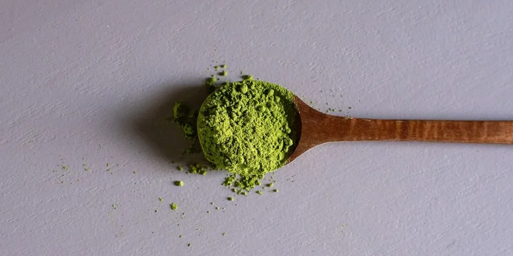 Best Chlorella Supplement 2026: Top Picks Ranked