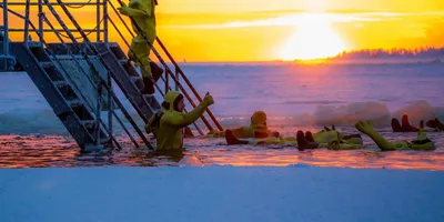 Best Cold Therapy Products 2026: Top Picks Ranked