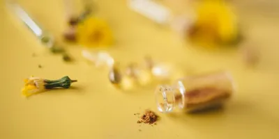 Best Colostrum Supplement 2026: Gut Health & Immunity