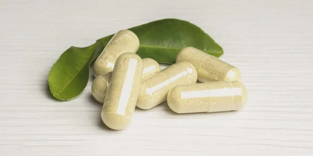 Best Fertility Supplements for Women 2026: Top Picks Ranked