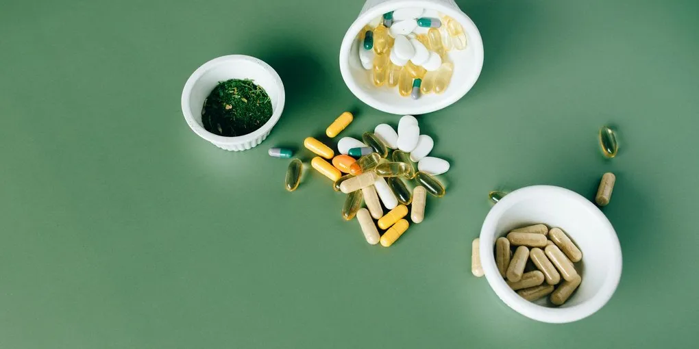 Best Gut Health Supplements 2026: Top Picks