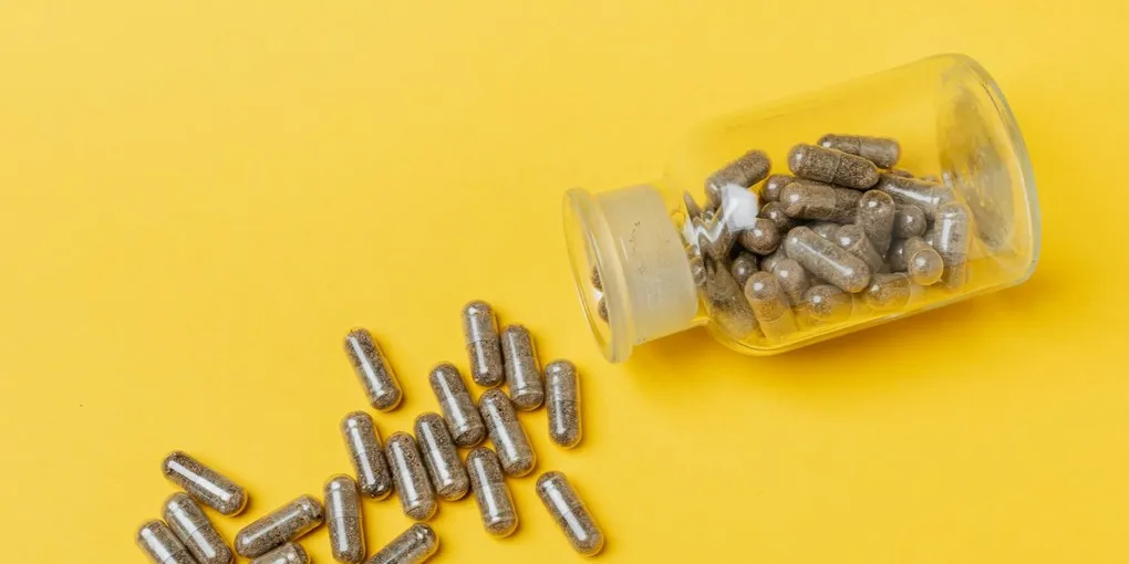 Best Intermittent Fasting Supplements 2026: Top Picks Ranked