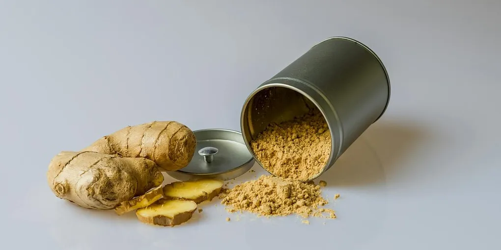 Best Kava Supplement for Anxiety: Top Picks Ranked
