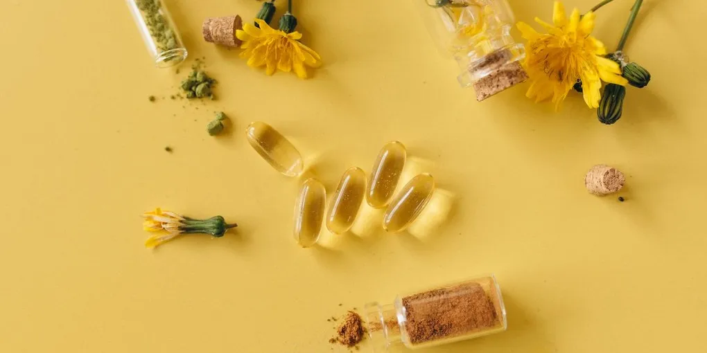 Best L-Glutamine Supplement for Gut Health & Recovery