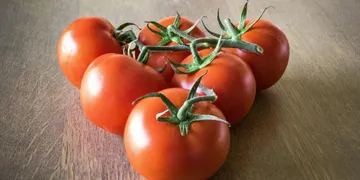 Best Lycopene Supplement: Top Picks Ranked