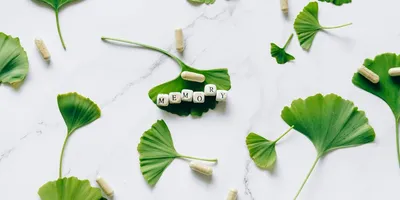 Best Phosphatidylserine Supplement 2026: Top Picks Ranked