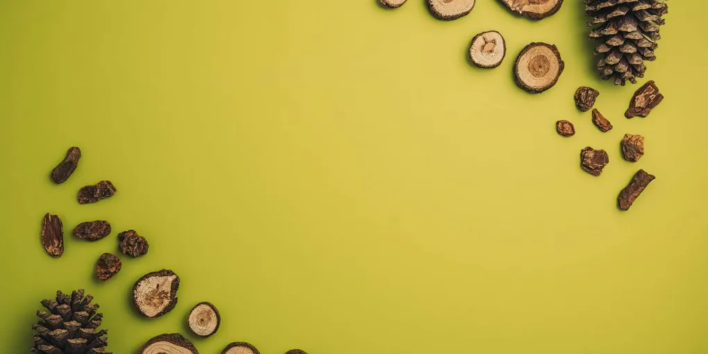 Best Pine Bark Extract Supplement (Pycnogenol): Ranked