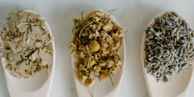 Best Skullcap Supplement: Top Picks Ranked