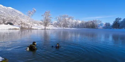 Cold Shower Protocols for Performance: Top Picks Ranked