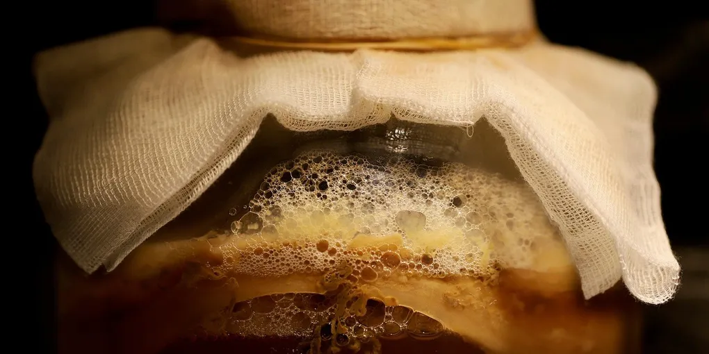 Fermented Foods vs Probiotic Supplements: Top Picks Ranked