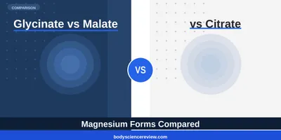 Magnesium Glycinate vs Malate vs Citrate: Top Picks Ranked