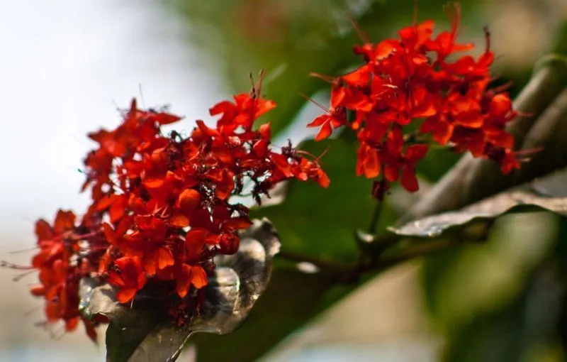 Red Light Therapy Panel vs Bulb 2026: Which Setup Is Actually Worth It?