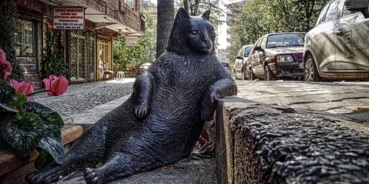 Best Air Purifier for Bedroom Sleep: HEPA vs HEPA+Carbon Tested (2026)