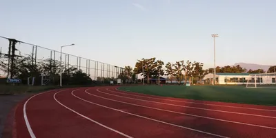 Zone 2 Training: Top Picks Ranked